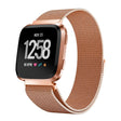 Opvallend stijlvol Fitbit Versa Metaal Bandje